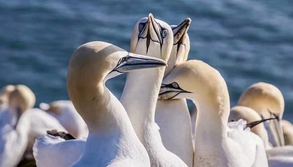 足球场上的风云变幻，谁是胜者？