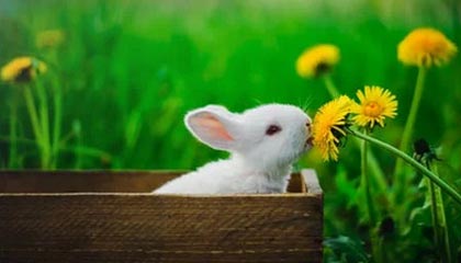 赫塔菲迎来历史性一战，坚守不败