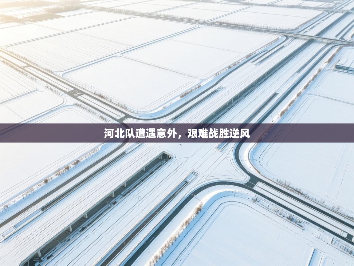 河北队遭遇意外，艰难战胜逆风  第2张